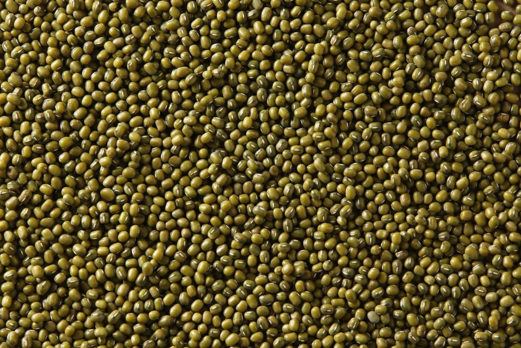 Green Lentils