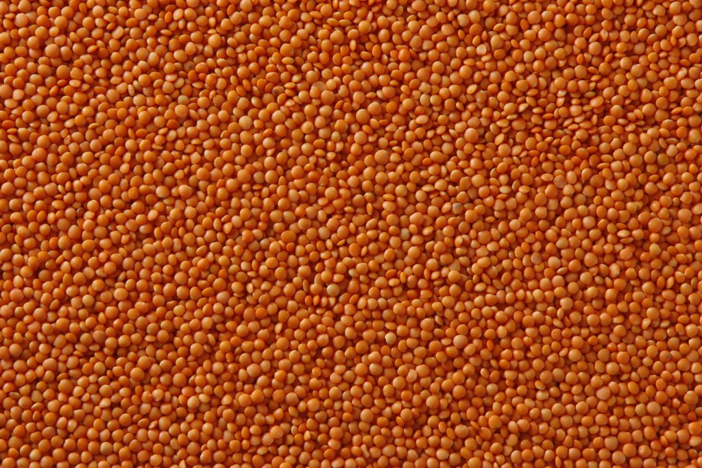 red lentils
